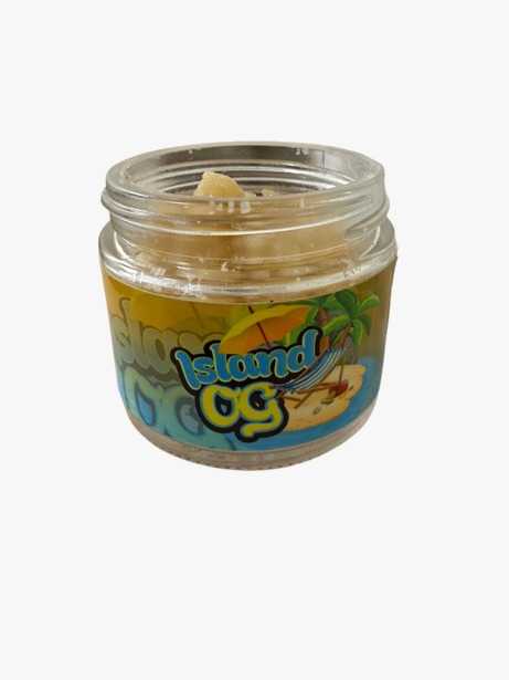 WhatsApp_Image_2026-03-27_at_10.31.43_PM