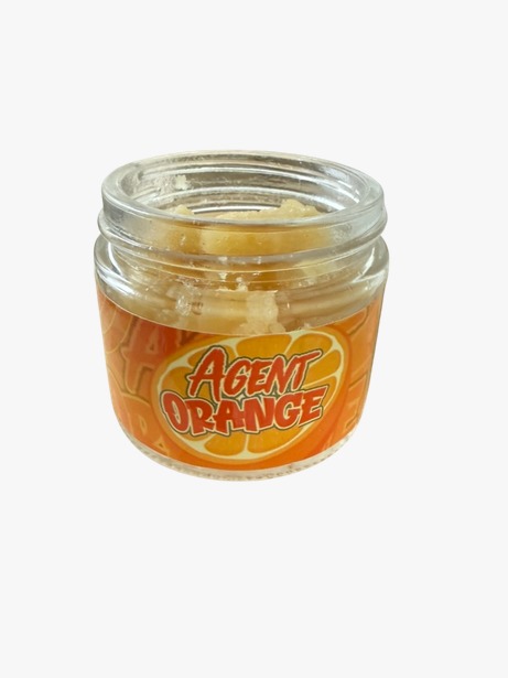 WhatsApp_Image_2026-03-27_at_10.32.48_PM