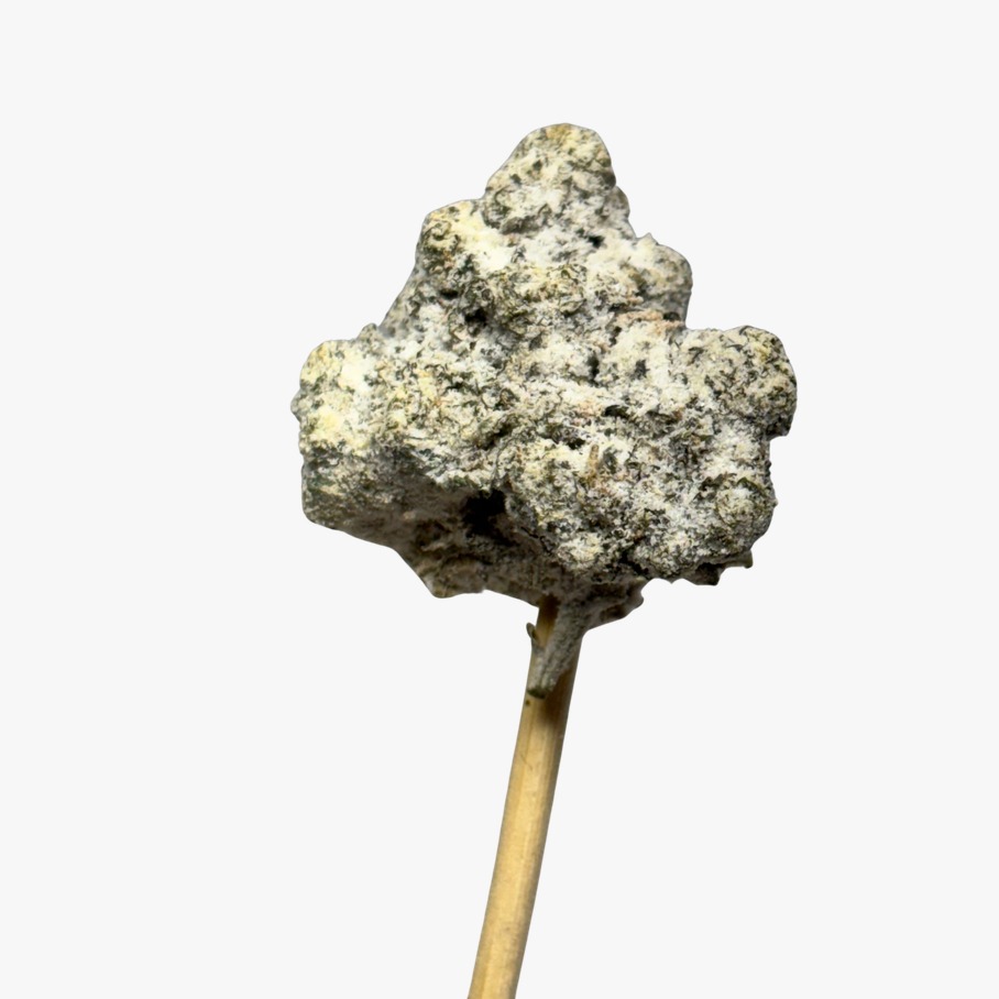 WhatsApp_Image_2026-03-27_at_10.33.00_PM