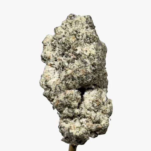 WhatsApp_Image_2026-03-27_at_10.33.44_PM