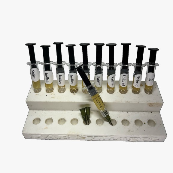 d8b72dad-743b-467e-a610-109b046e6b03